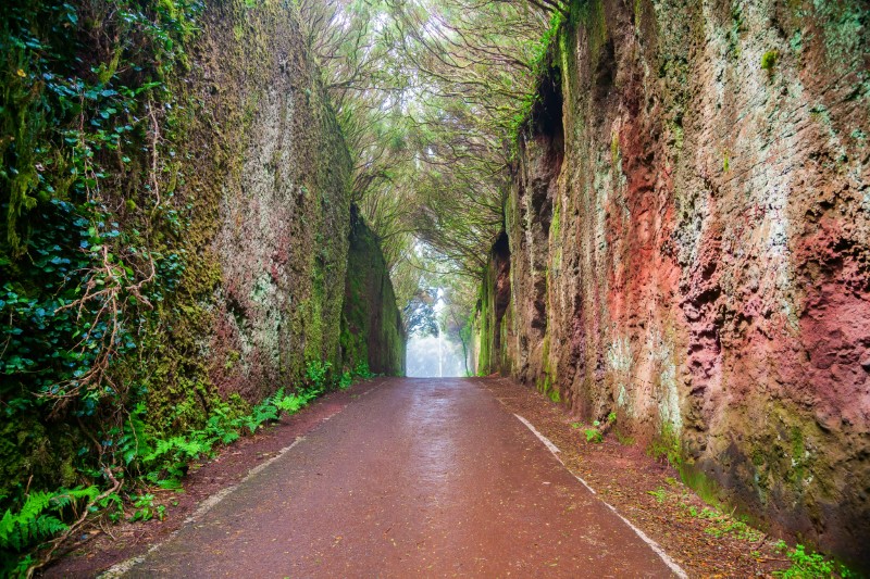 Park Wiejski Anaga (Parque Rural de Anaga), Teneryfa