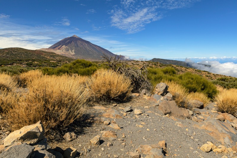 Park Narodowy Las Cañadas del Teide, Teneryfa